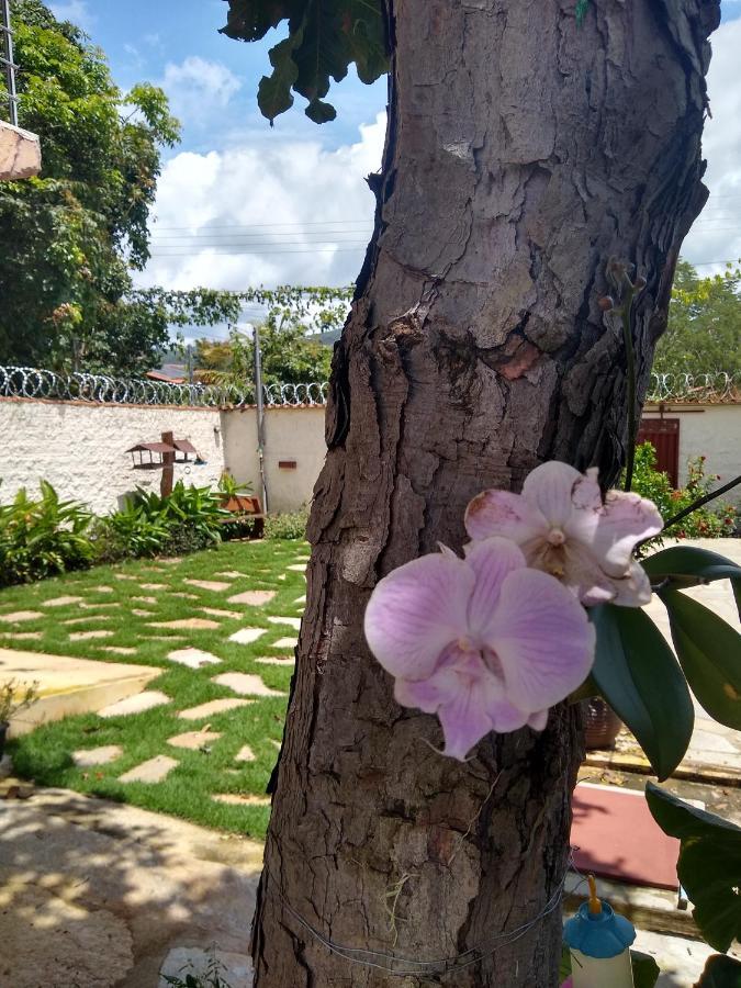 Pousada Paraiso Dos Pireneus Pirenópolis Kültér fotó
